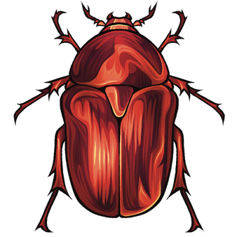 Red Beetle Red Beetle