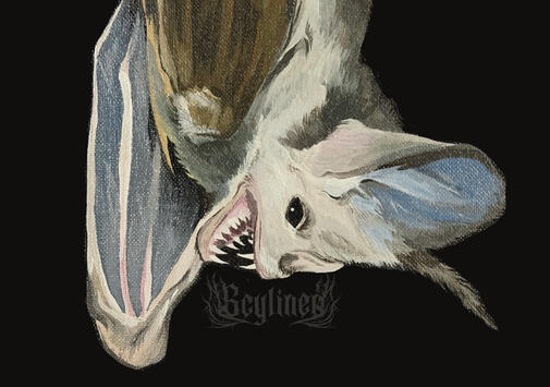 A5 Acrylic Bat Print