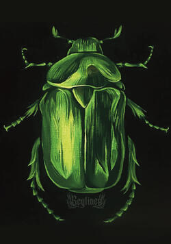 A5 Acrylic Beetle Print A5 Acrylic Beetle Print