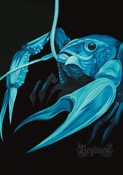 A5 Acrylic Lobster Print A5 Acrylic Lobster Print